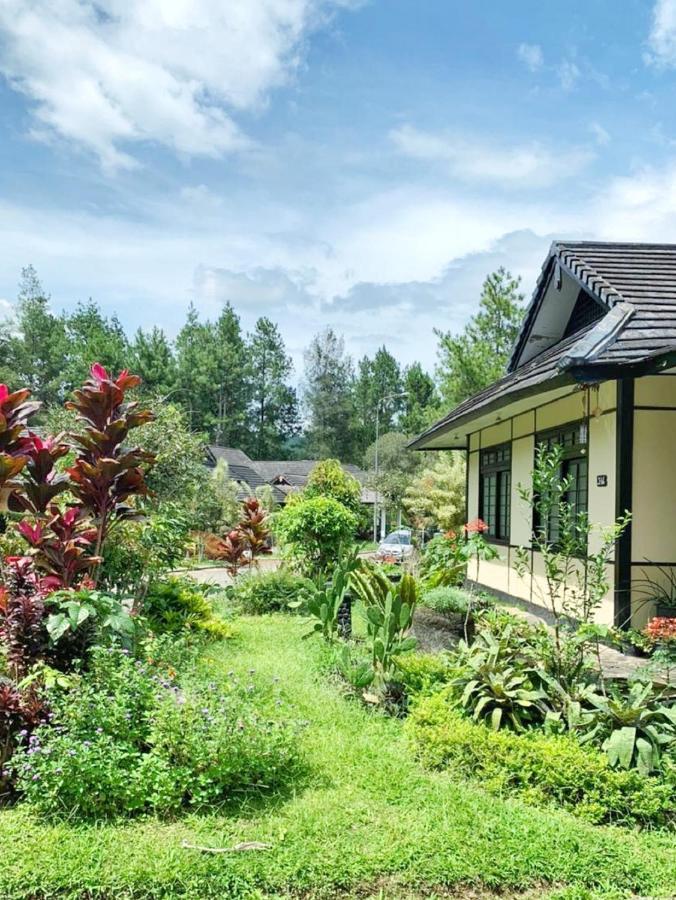 Designer Villa Osaka Puncak Dış mekan fotoğraf