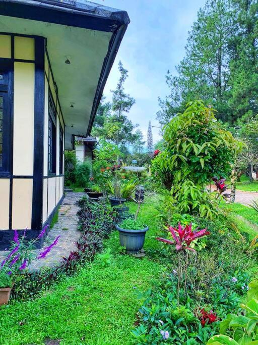Designer Villa Osaka Puncak Dış mekan fotoğraf